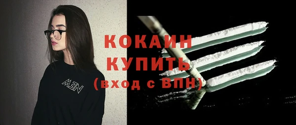 тгк Алексин