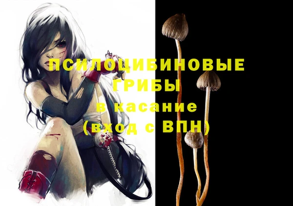 тгк Алексин