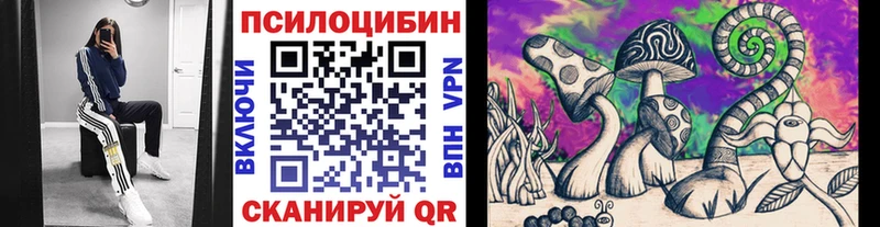 hydra tor  Микунь  Галлюциногенные грибы MAGIC MUSHROOMS 